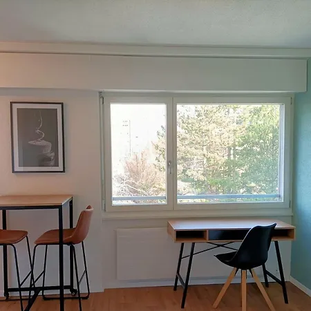 Lumineux Bien Place En De Apartman Sion