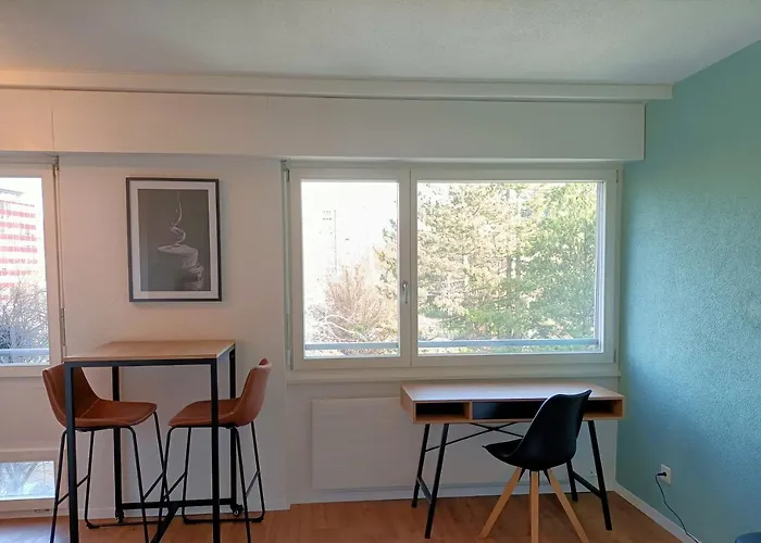 Lumineux Bien Placé En De Appartamento Sion